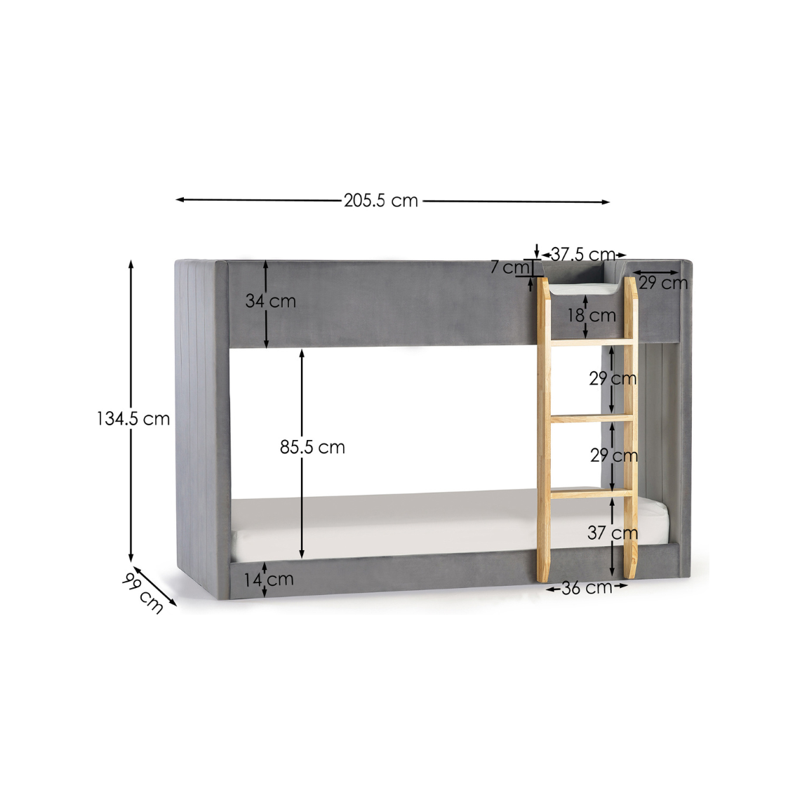 Daytona Bunk - Living with Luxury