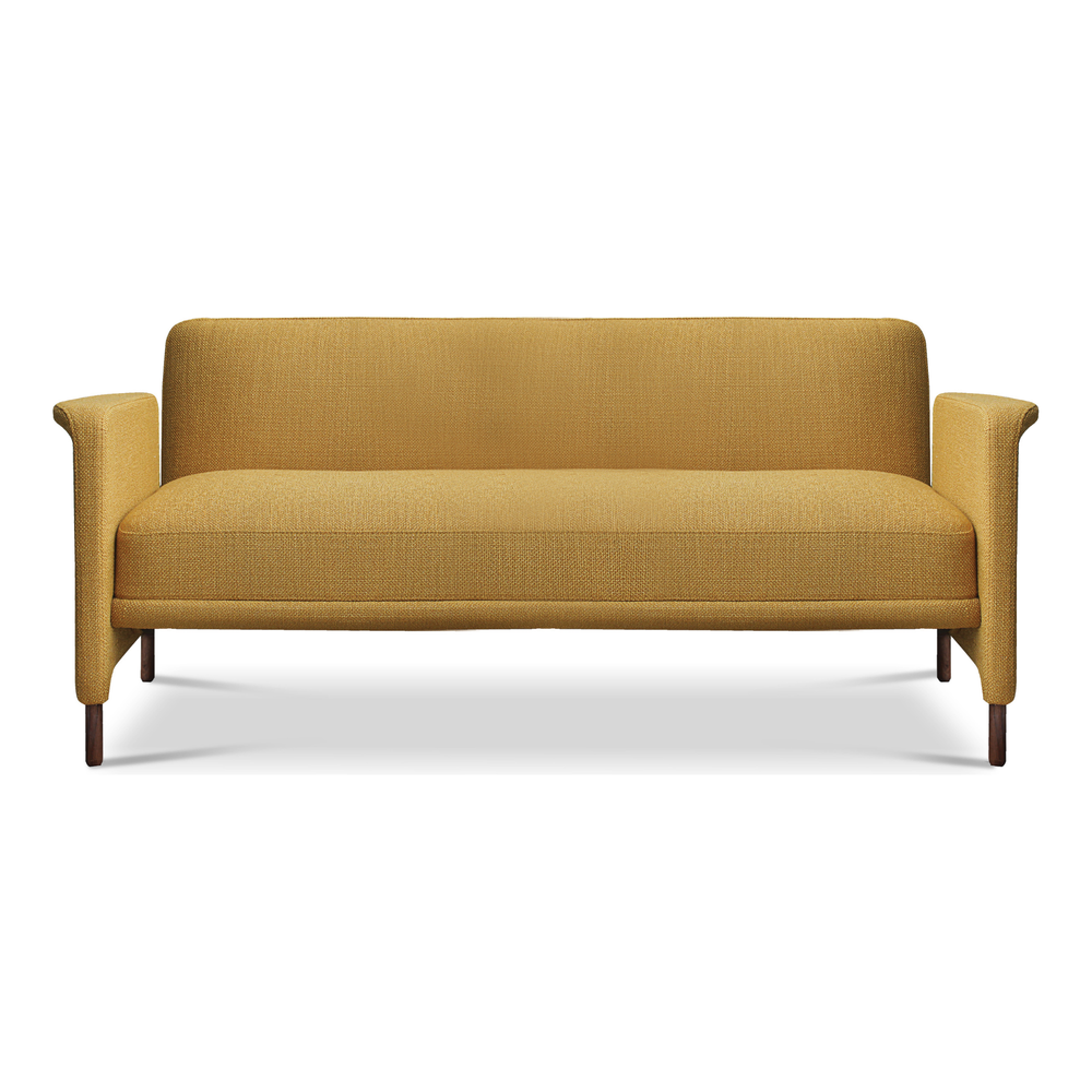 Carson 2 Seat Sofa 