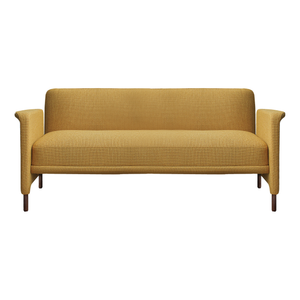 Carson 2 Seat Sofa 