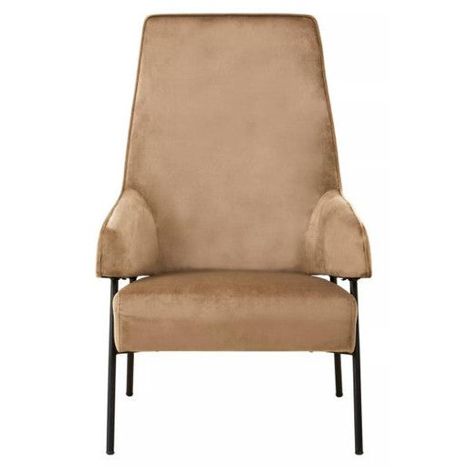 Henia Mink Velvet Chair