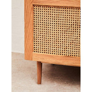 Lyon 2 Door Natural Rattan And Oak Cabinet