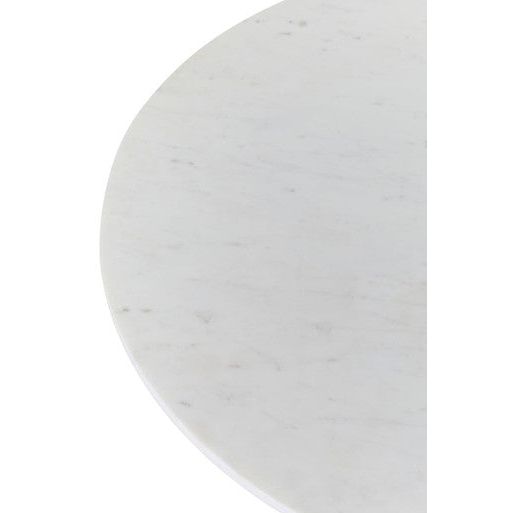 Myan White Marble Coffee Table