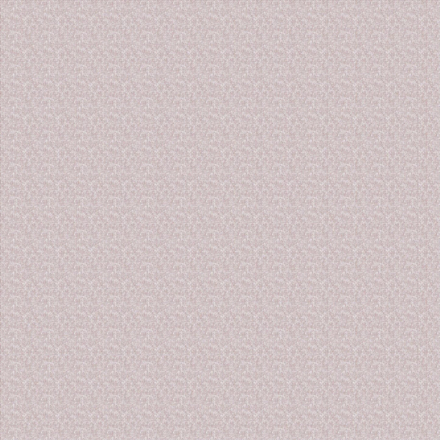 Angus - Living with Luxury