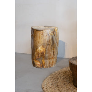 Petrified Wood Side Table \ Stool