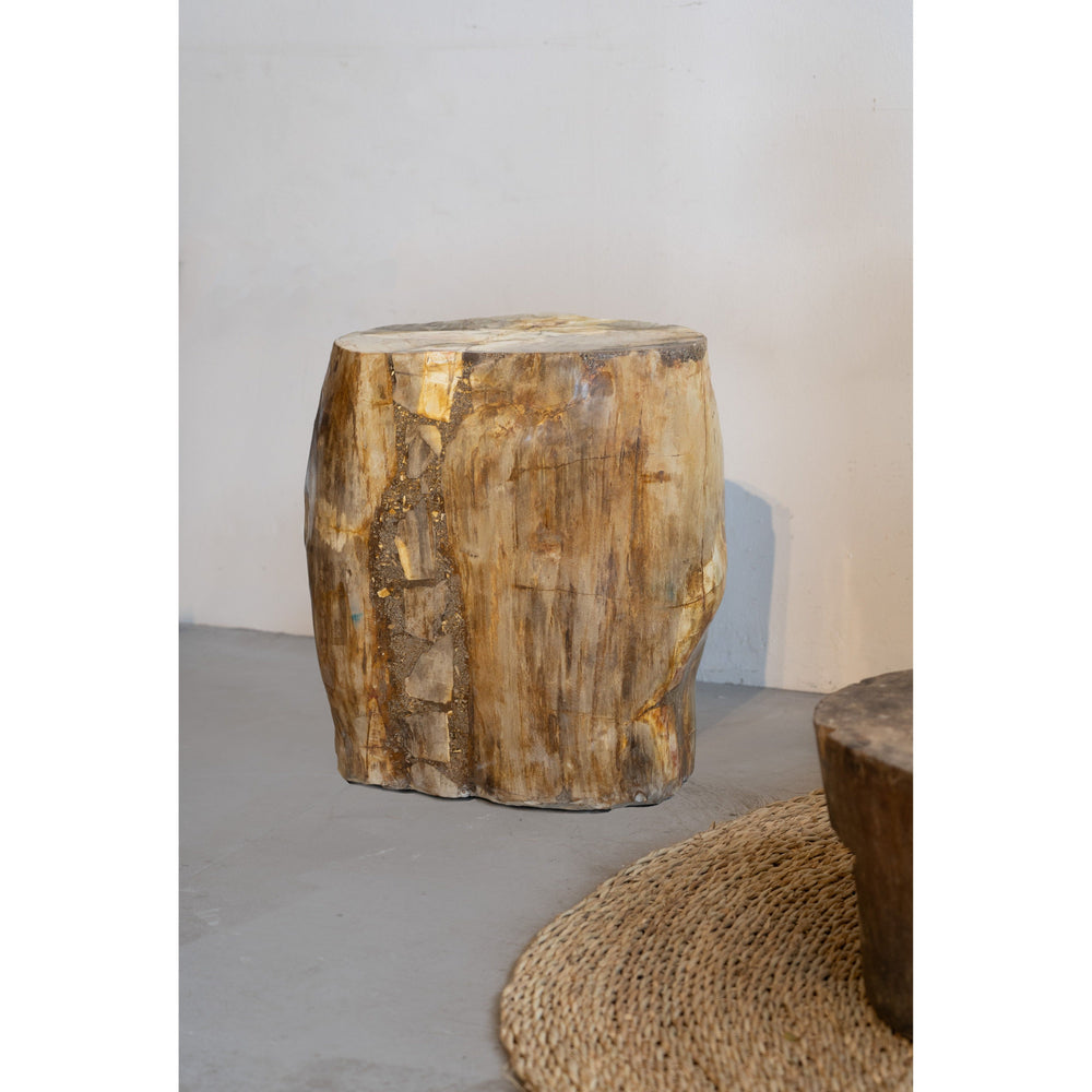 Petrified Wood Side Table \ Stool