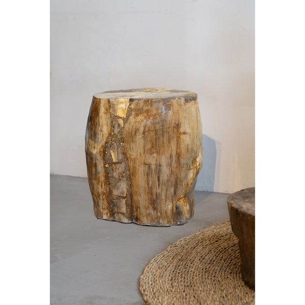 Petrified Wood Side Table \ Stool