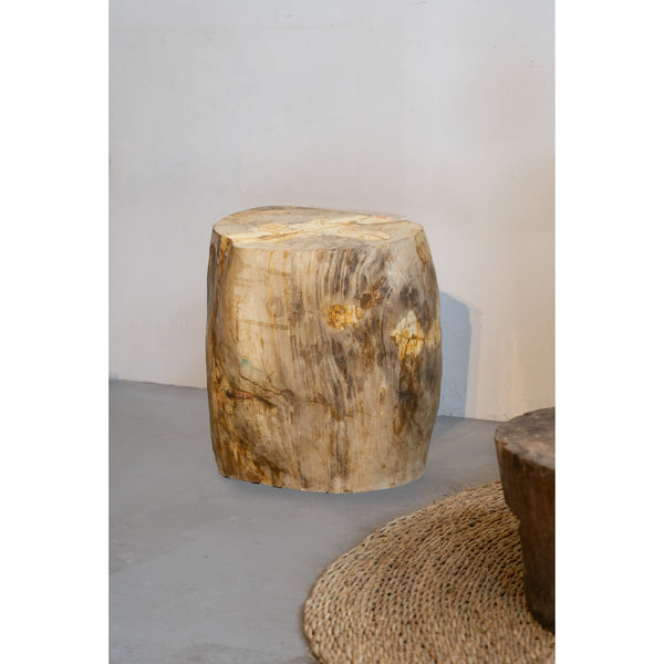 Petrified Wood Side Table \ Stool
