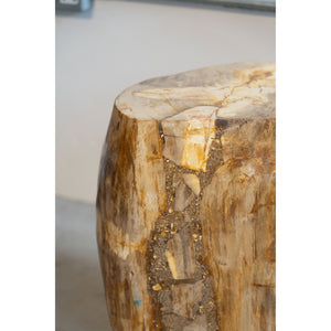 Petrified Wood Side Table \ Stool