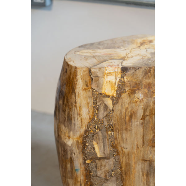 Petrified Wood Side Table \ Stool