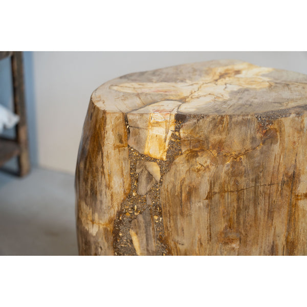 Petrified Wood Side Table \ Stool