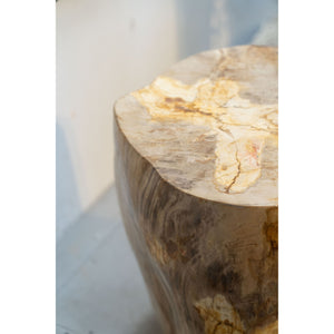 Petrified Wood Side Table \ Stool