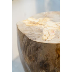 Petrified Wood Side Table \ Stool