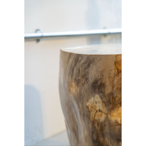Petrified Wood Side Table \ Stool