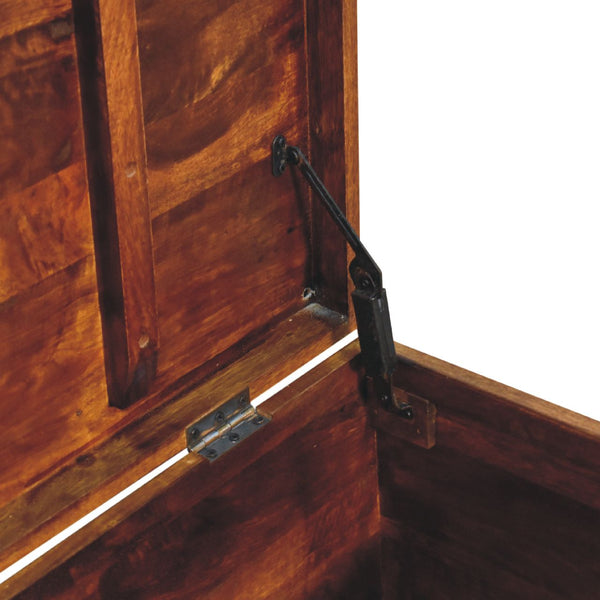 Buffalo Hide Chestnut Storage Trunk - Living with Luxury