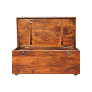 Buffalo Hide Chestnut Storage Trunk - Living with Luxury