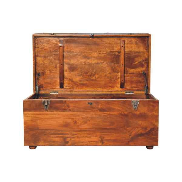 Buffalo Hide Chestnut Storage Trunk - Living with Luxury