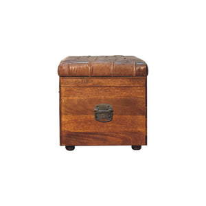 Buffalo Hide Chestnut Storage Trunk - Living with Luxury