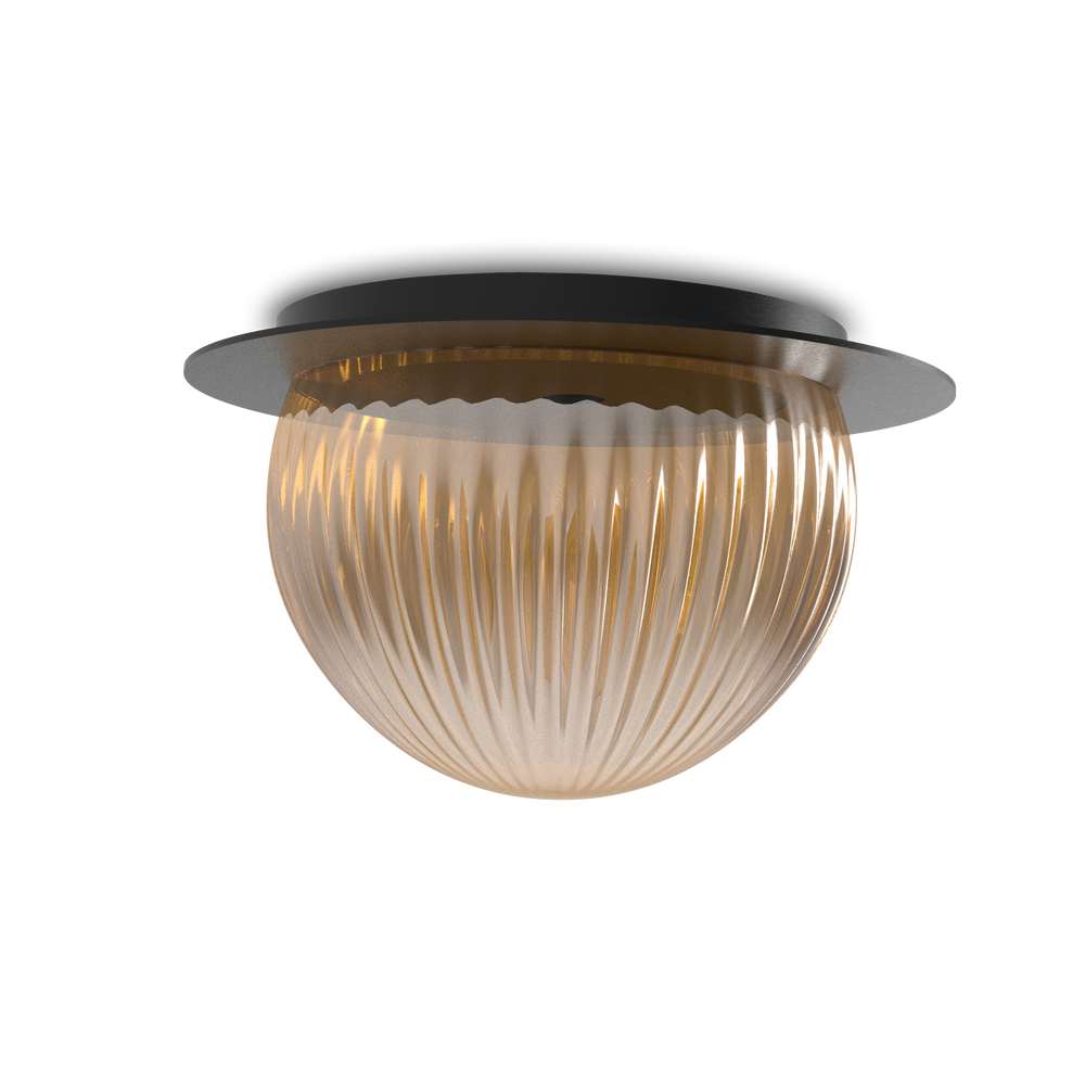 Roi Wall Ceiling Disc – Black Base and Smoked Glass