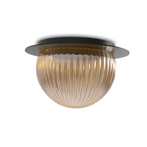 Roi Wall Ceiling Disc – Black Base and Smoked Glass – view 3