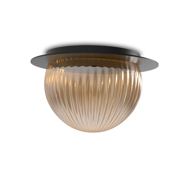 Roi Wall Ceiling Disc – Black Base and Smoked Glass – view 3