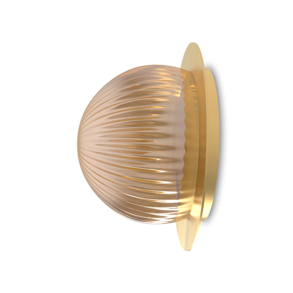 Roi Wall Ceiling Disc – Matte Polished Brass Base and Smoked Glass