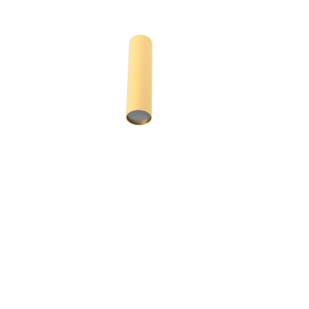 Rose Ceiling 16 – Matte Polished Brass