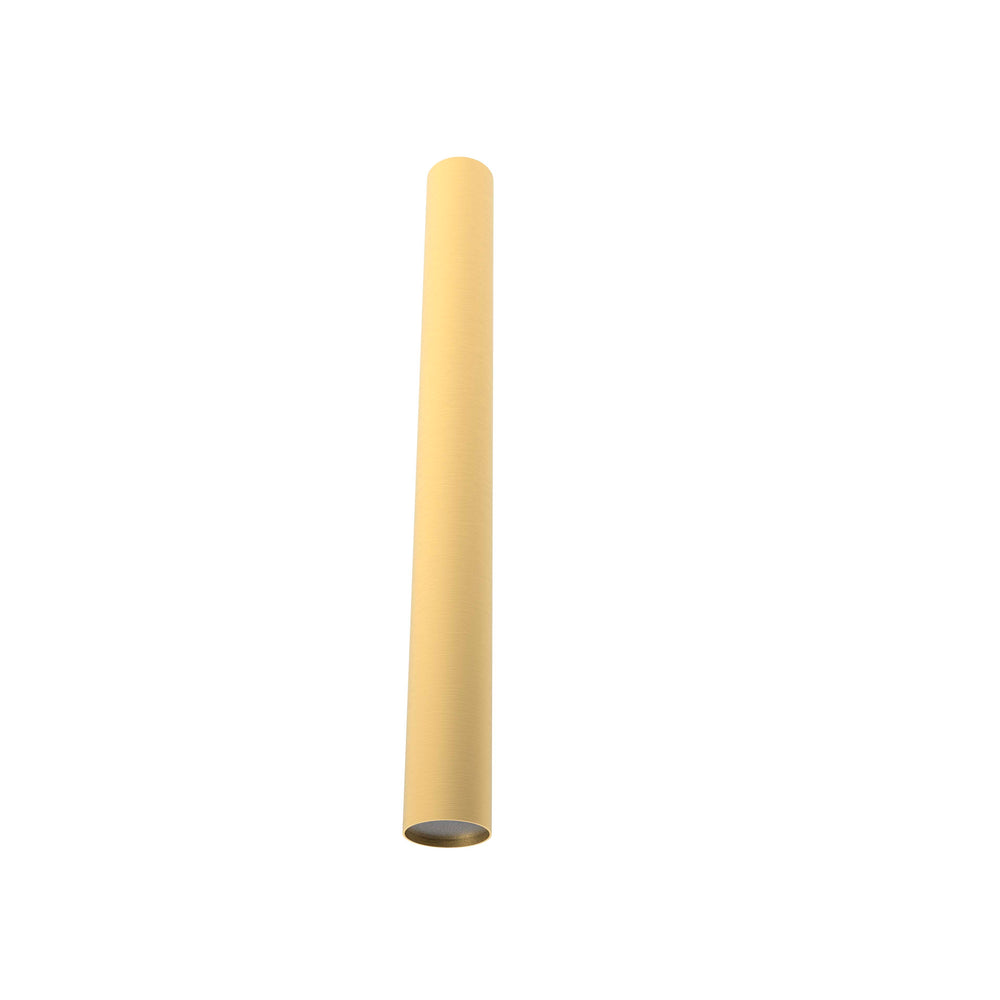 Rose Ceiling 40 – Matte Polished Brass