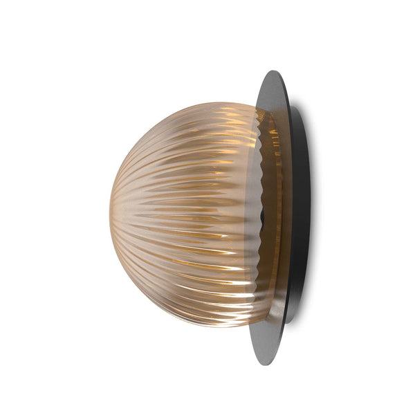 Roi Wall Ceiling Disc – Black Base and Smoked Glass