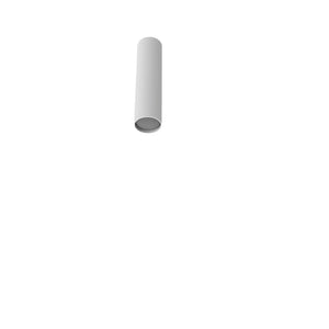 Rose Ceiling 16 – Matte White