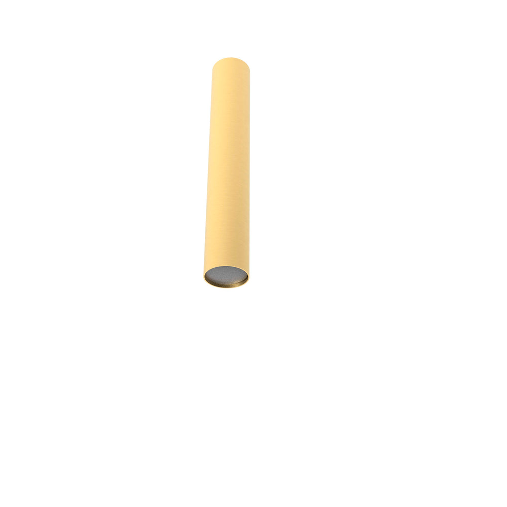 Rose Ceiling 25 – Matte Polished Brass